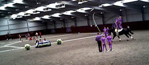 scottish equestrian vaulting team