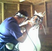 trimming